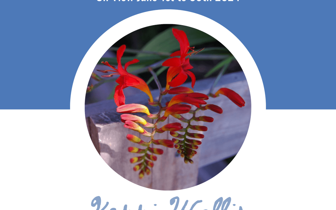 Interview with Kerri Wallis, Oceana Exhibition