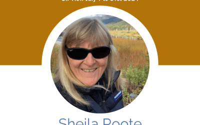 Pocket Pebbles by Sheila Roote (Terra Exhibition)